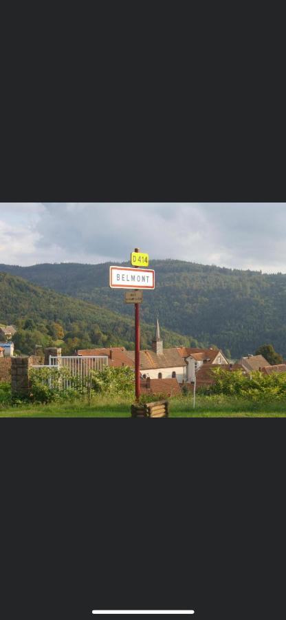 Gite De Montagne Au Pied Du Champ Du Feu Belmont  Exterior photo